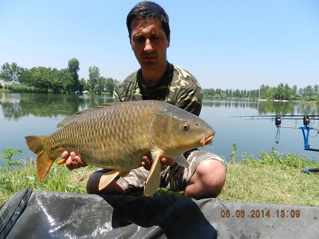 carpfishing 08/05/2014 - dscn2686.JPG